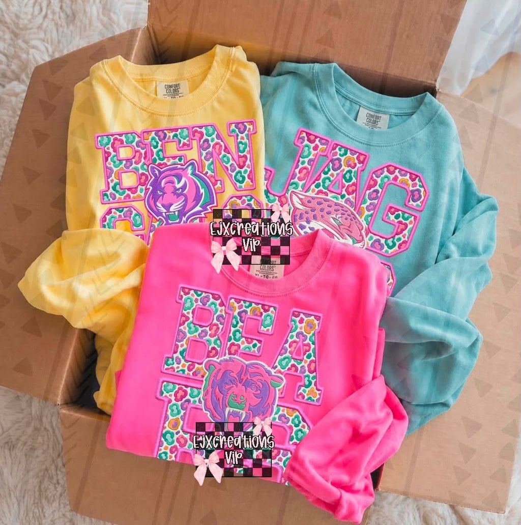 Cheetah team